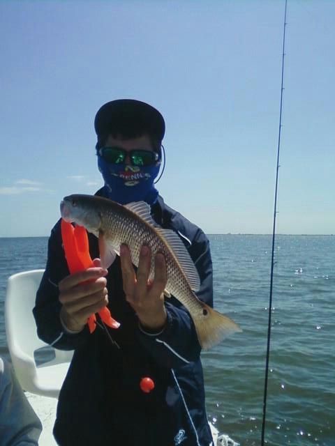 Tampa-bay-winter-redfish