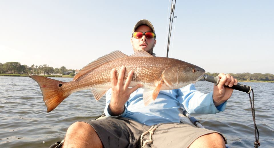 Tampa-Bay-Redfish-On-Artificial-In-Kayak