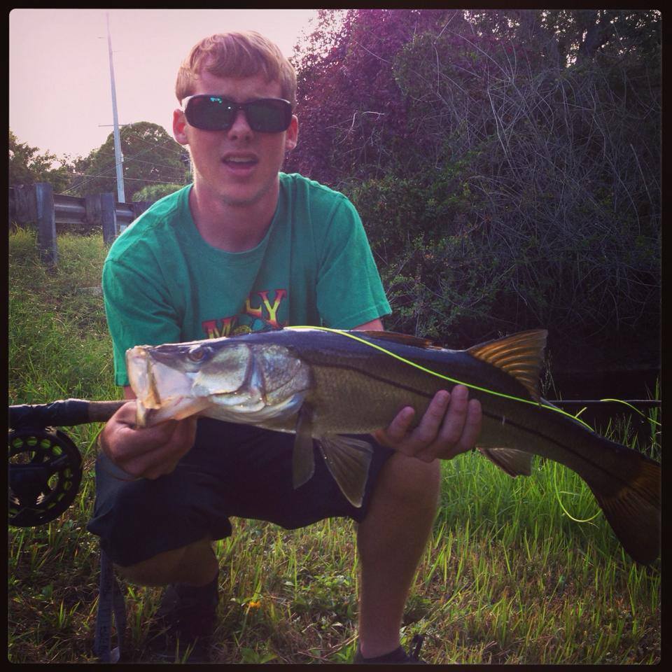 snook on fly