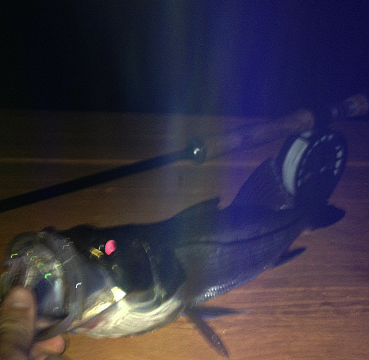 Linesider on the fly