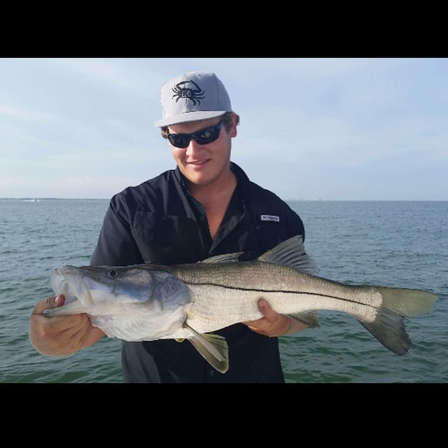 snook caught in Pinellas County