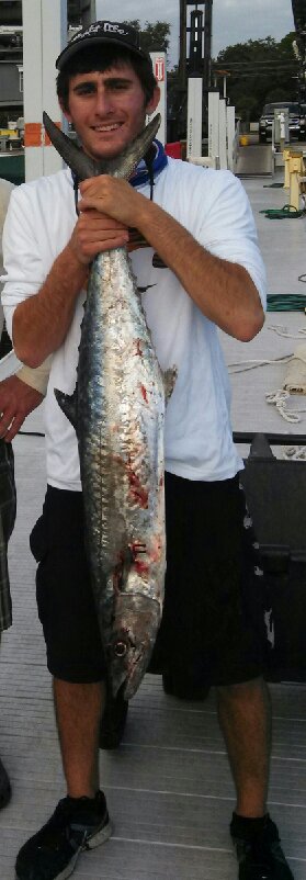 Kingfish caught on a plug