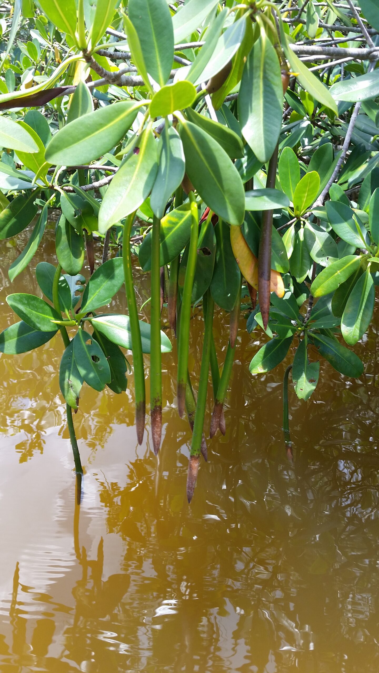 beauty is everywhere in our state