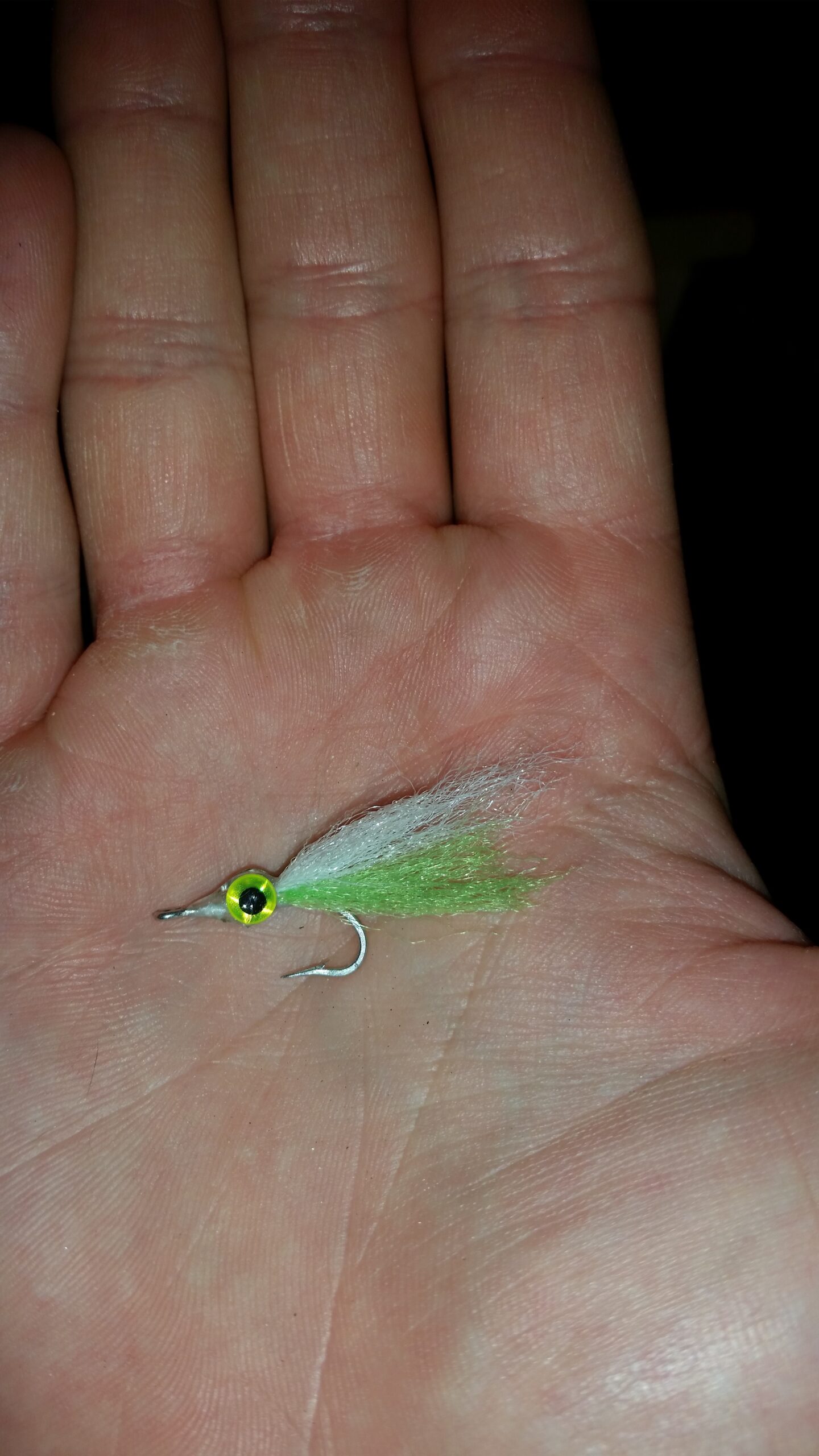fly I used in poonfecta