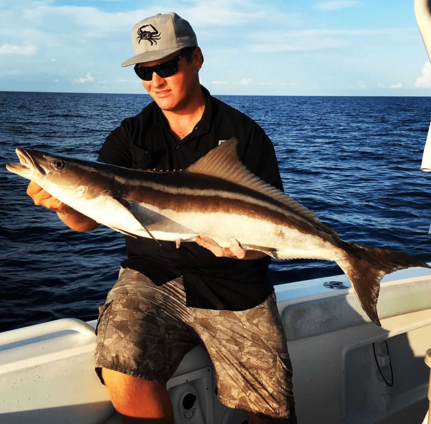 cobia cobia