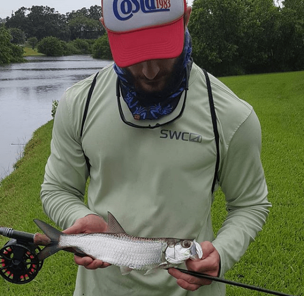 Baby Tarpon! Baby Tarpon!