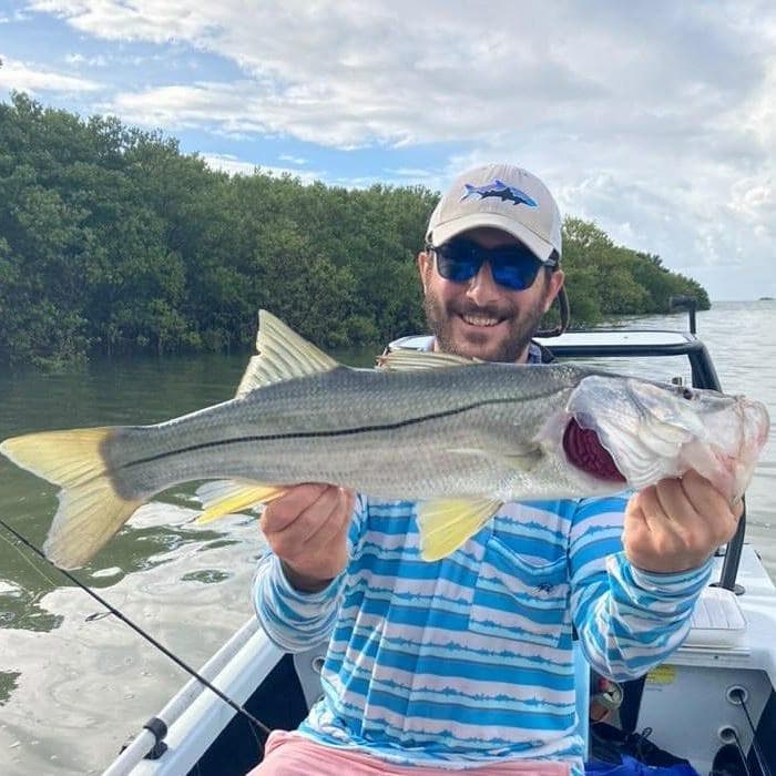 Big Bend Snook