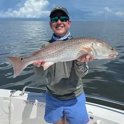Sun Coast redfish
