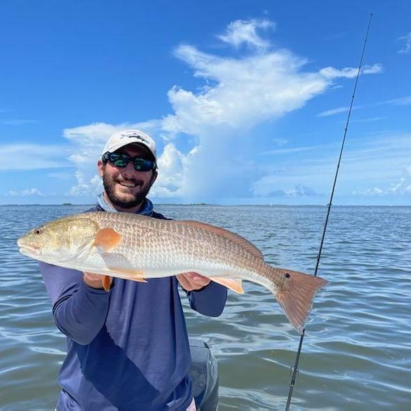 Sun Coast redfish