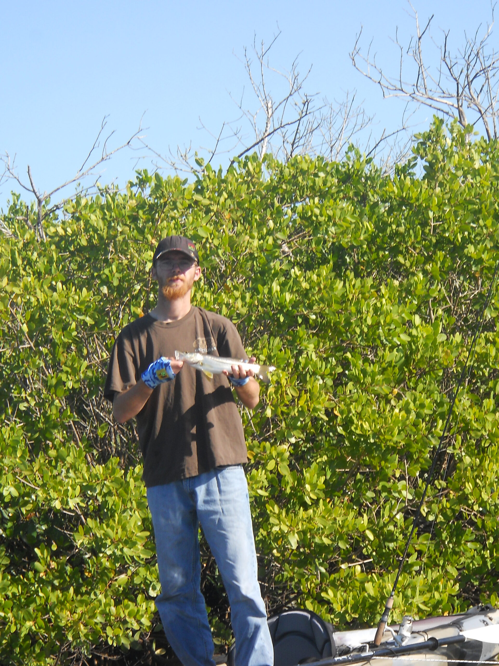Snook caught while fly fishing 