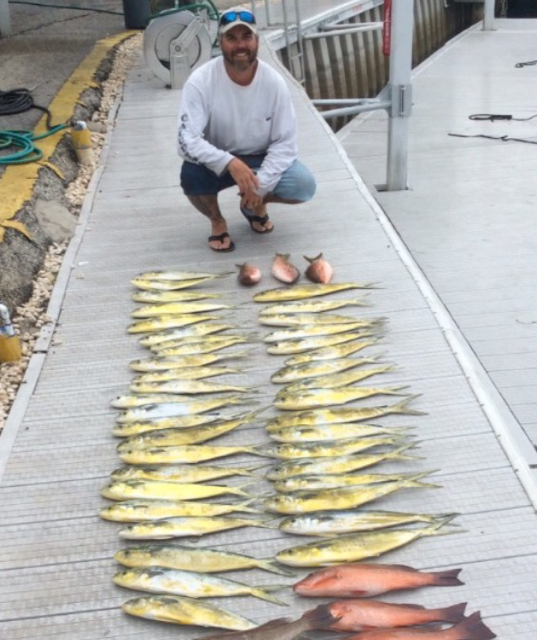 pompano dolphin dorado 