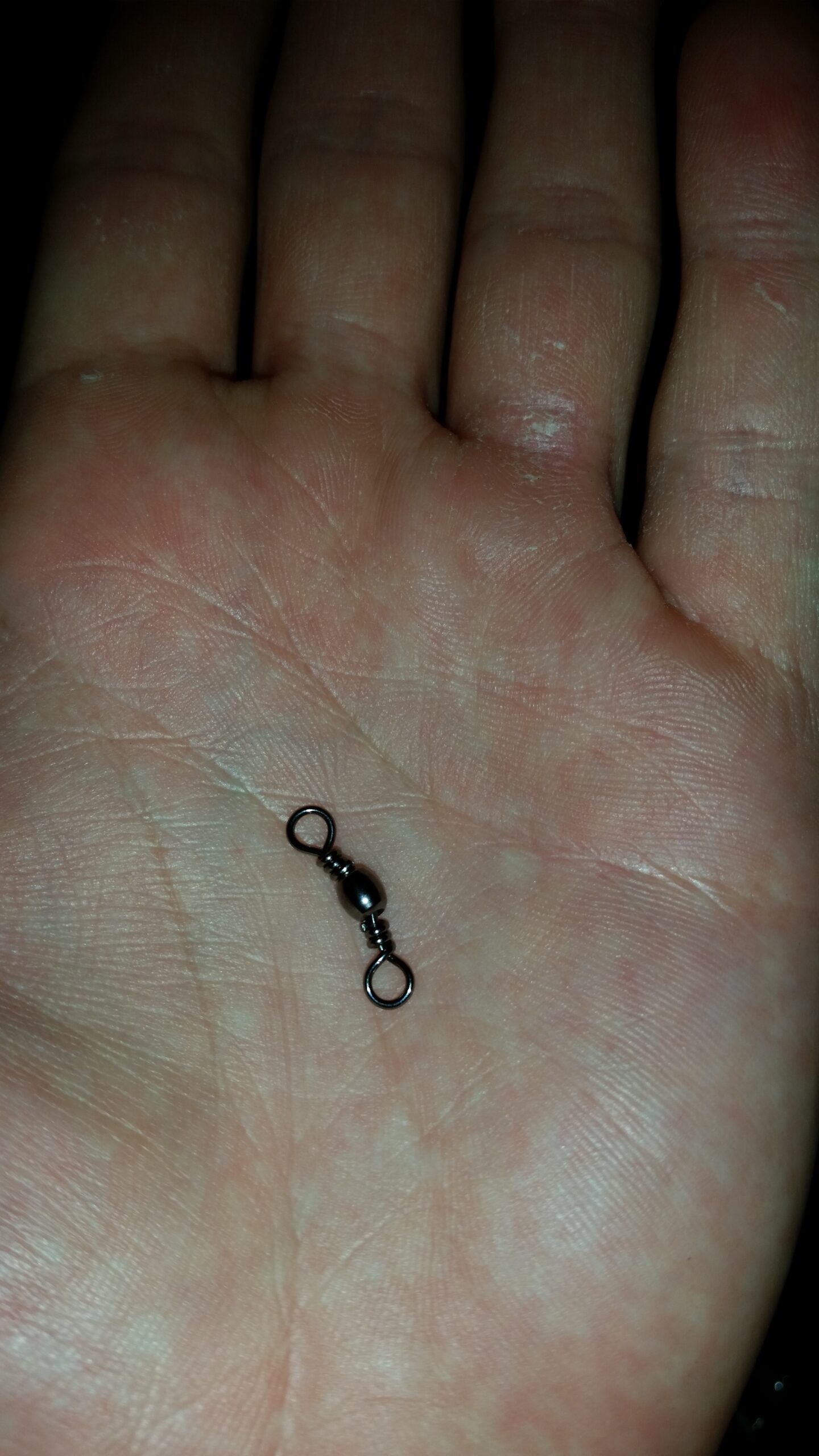 swivel not a fluorocarbon leader 