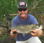 Tarpon on Fly! Tarpon on Fly!