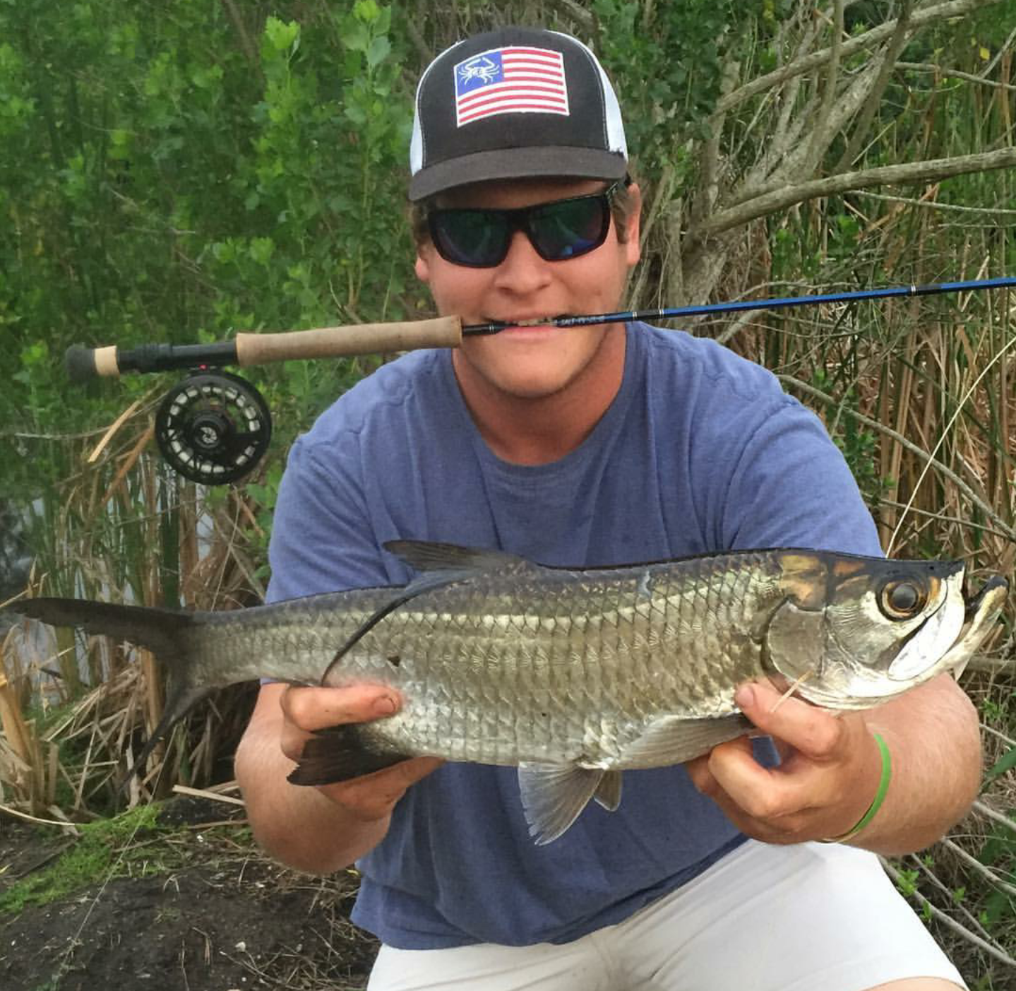 Tarpon on Fly! Tarpon on Fly!