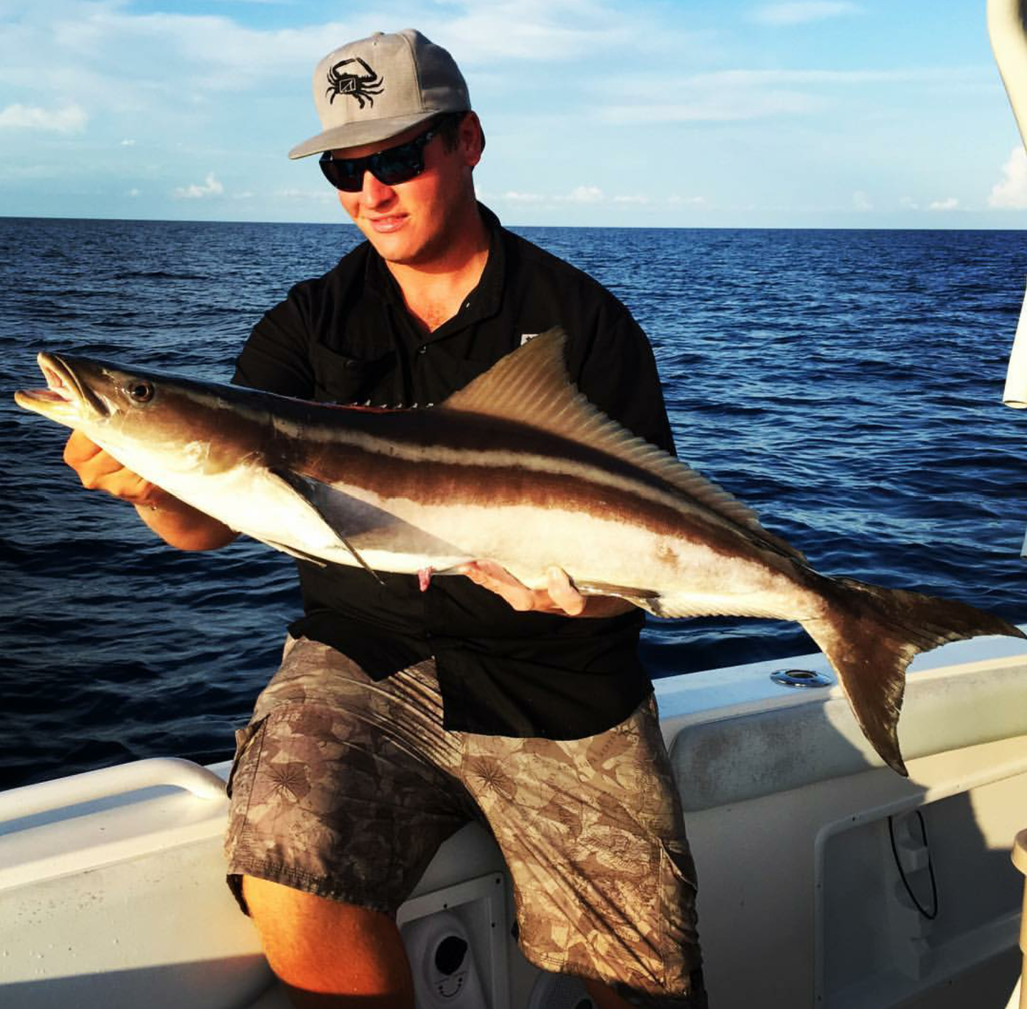 cobia