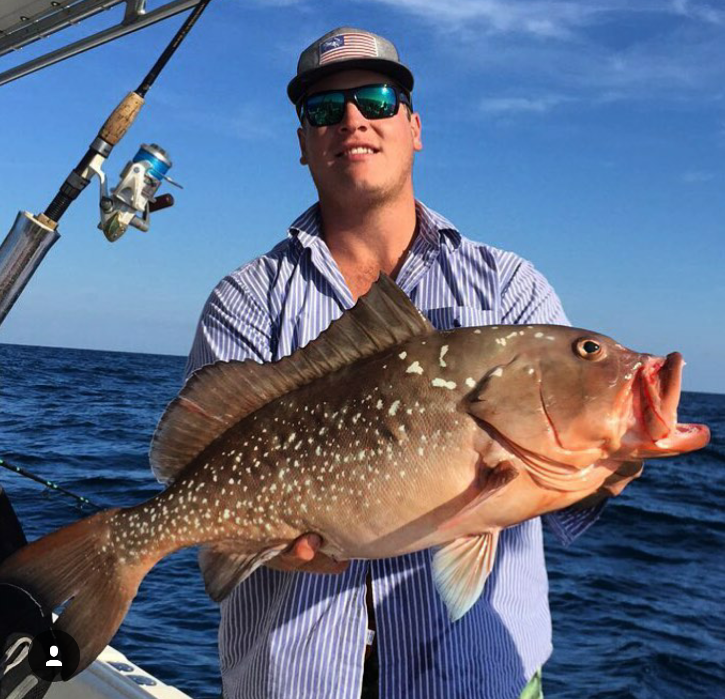 red grouper