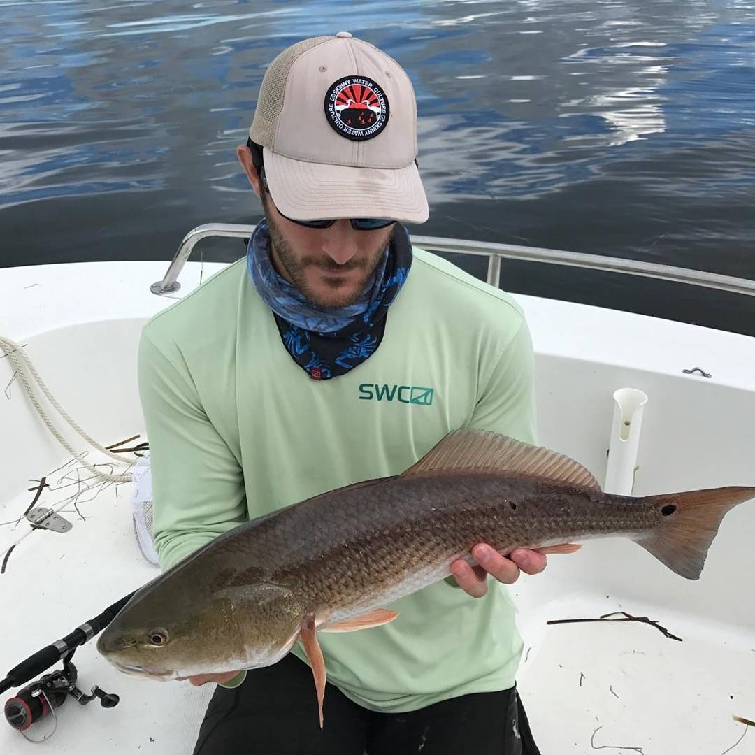 Redfish Redfish