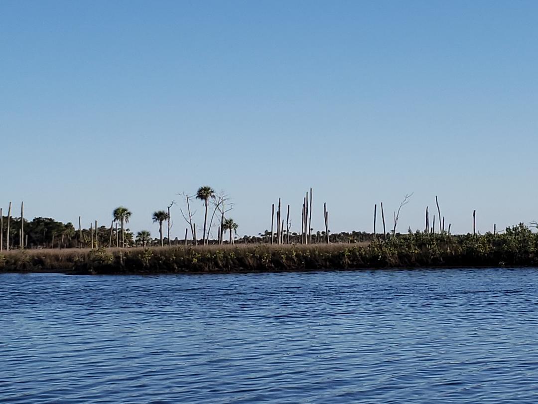 low-tide-limestone-chassahowitzka