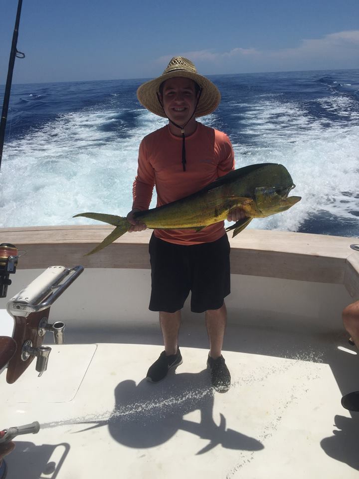 dorado