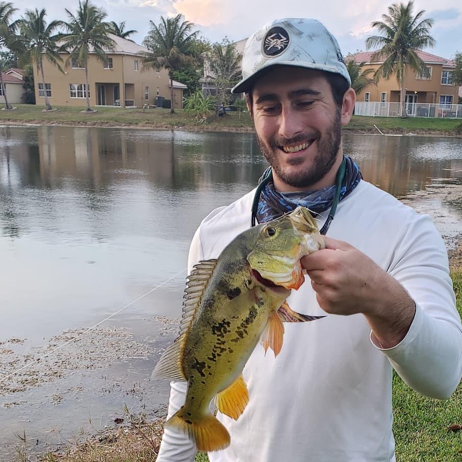 Peacock Bass Fishing in South Florida - 727 Angler