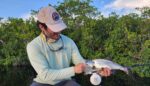 Silver Kings in the Everglades