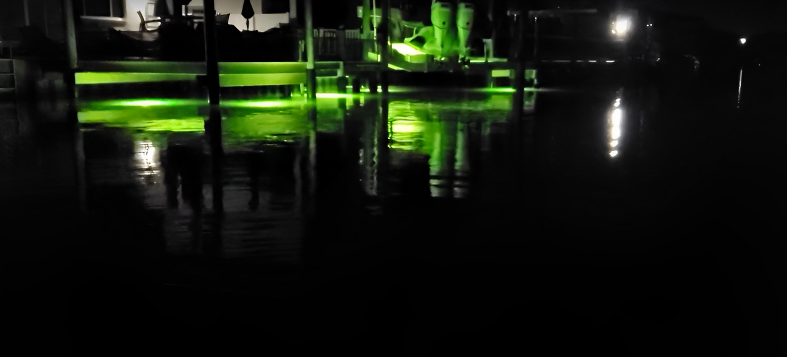 Tampa Bay fishing at night