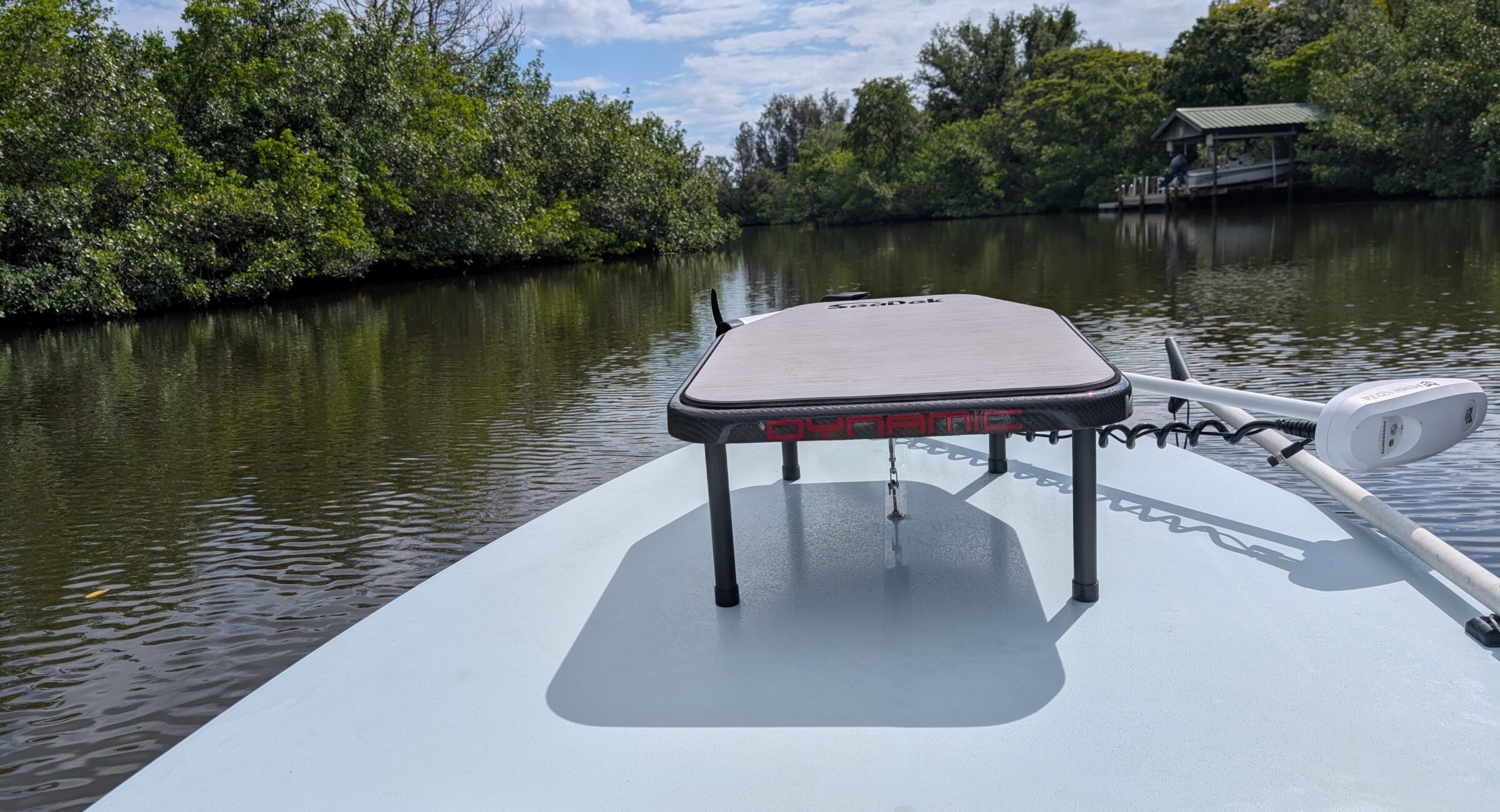 Driving through a mangrove lined canal in Tampa, Florida. 